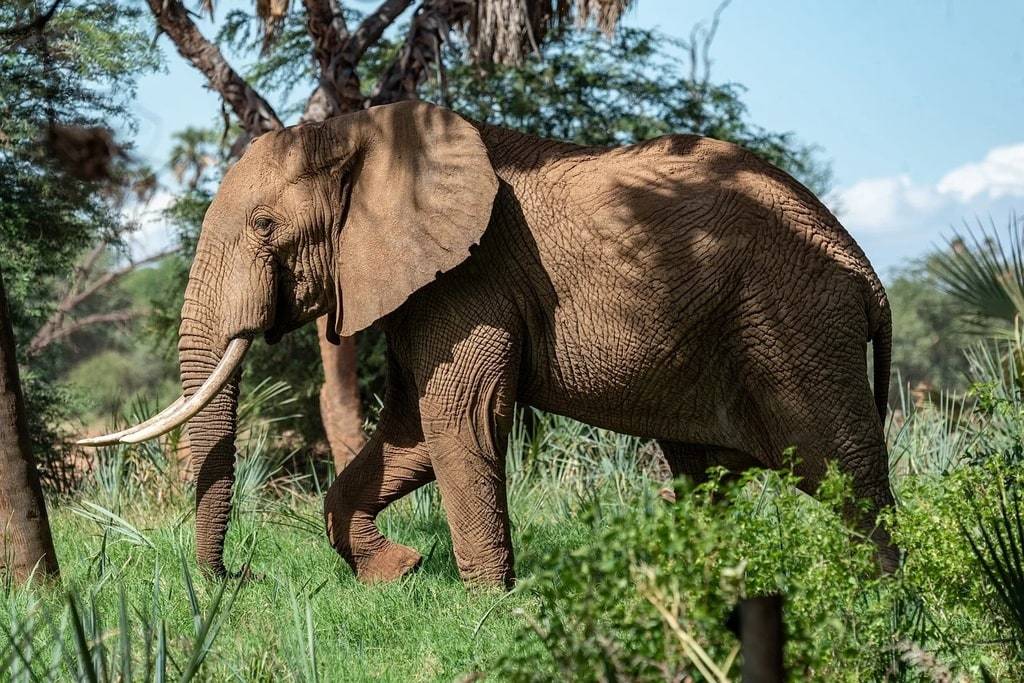 Conseils pour un tourisme responsable et enrichissant en Afrique